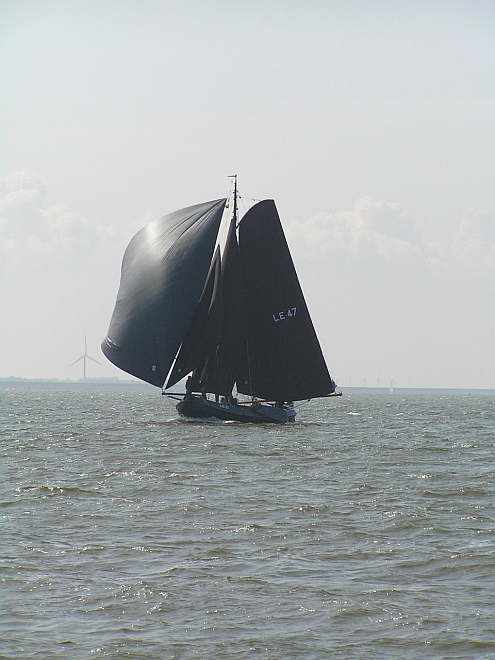 Lemsteraak_Ahoy2008 (174).jpg